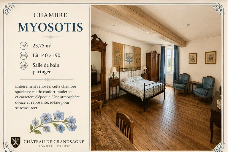 Visuel de la Chambre Myosotis