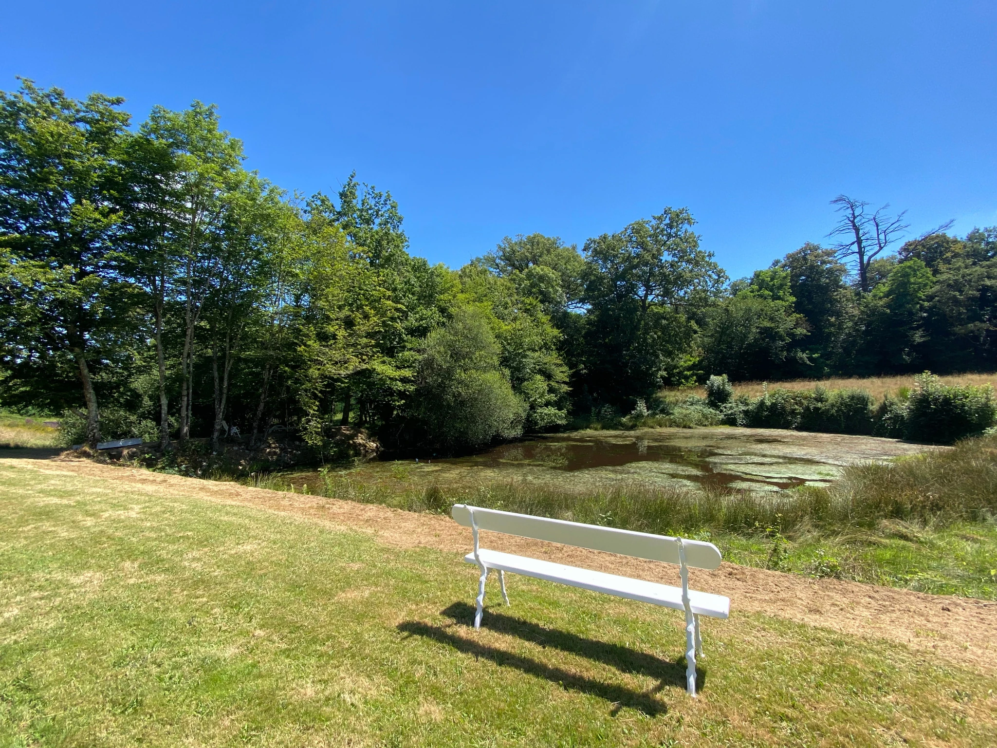 Étang et parc du domaine de Grandsagne
